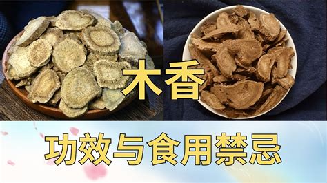 木香的功效與禁忌|木香的功效與作用及禁忌